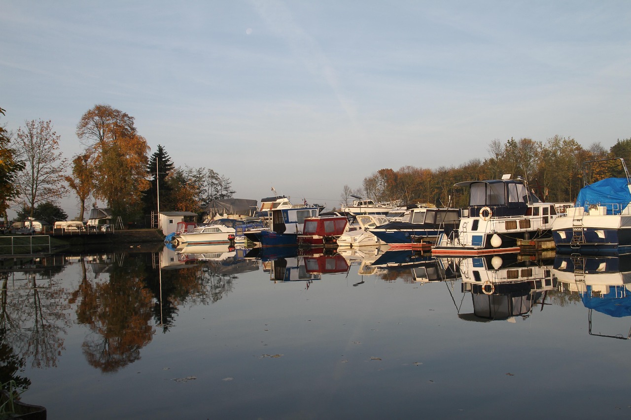 hvepsebekæmpelse Herning
